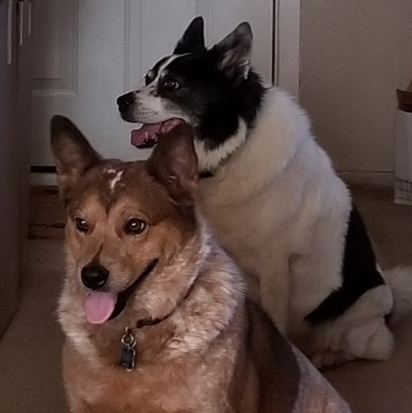 Meet your Posher, Aunt tata - Picture 5 of 8